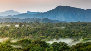 Buscan contar con los elementos necesarios que permitan determinar que el aprovechamiento forestal se realizará de forma ordenada, en fiel cumplimiento a las normas legales y de manera sostenible. Buscan contar con los elementos necesarios que permitan determinar que el aprovechamiento forestal se realizará de forma ordenada, en fiel cumplimiento a las normas legales y de manera sostenible.