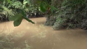 SINAPROC continúa búsqueda de hombre de 47 años desaparecido en Herrera.