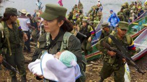 Más del 80 % de 6.200 guerrilleros de FARC ya están concentrados en zonas