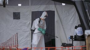 Panamá refuerza vigilancia epidemiológica ante casos de Ébola.