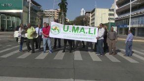 UMALI denuncia que profesores con curso de 16 semanas son nombrados de manera permanente