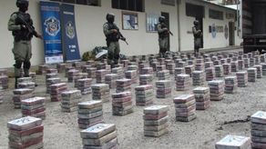 Se han logrado resultados contundentes desarticulando a grupos dedicados a la custodia y envío de sustancias ilícitas.