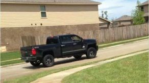 Hallan un tigre campando por un suburbio de Houston