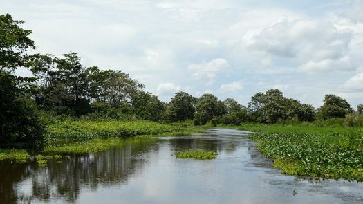 Ministro de Ambiente declara nueva área natural en Bocas del Toro