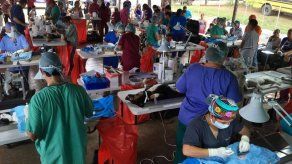 Jornada de esterilización este domingo 20 de agosto en Parque Lefevre