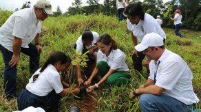 Día Nacional de Reforestación será el sábado 27 de agosto
