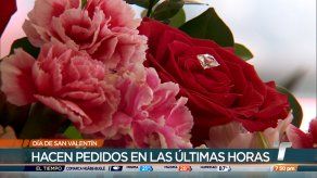 Enamorados celebran el Día de San Valentín