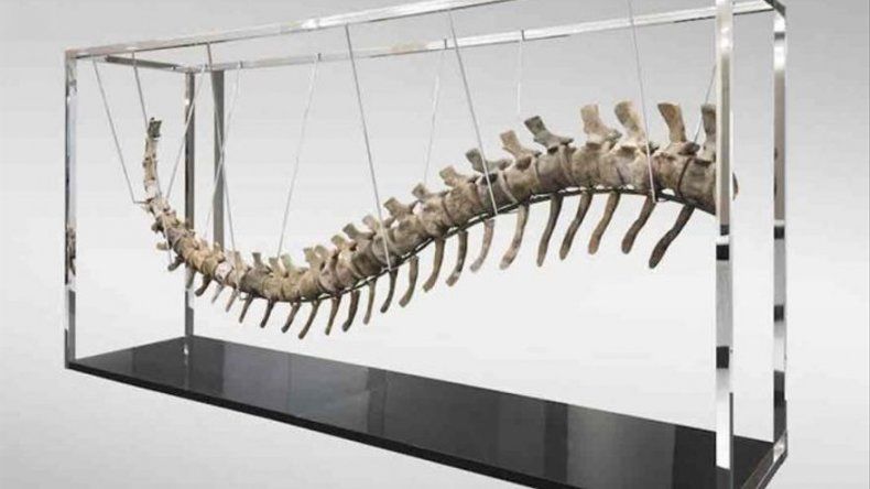 Marruecos investiga la venta de una cola de dinosaurio en México