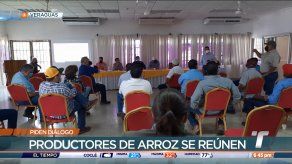 Productores temen desabastecimiento de arroz para el 2023
