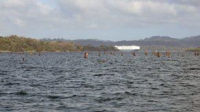 Cuenca del Canal de Panamá presenta el segundo registro de precipitación más bajo en 70 años Cuenca del Canal de Panamá presenta el segundo registro de precipitación más bajo en 70 años