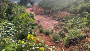 MiAmbiente descubre deforestación MiAmbiente descubre deforestación