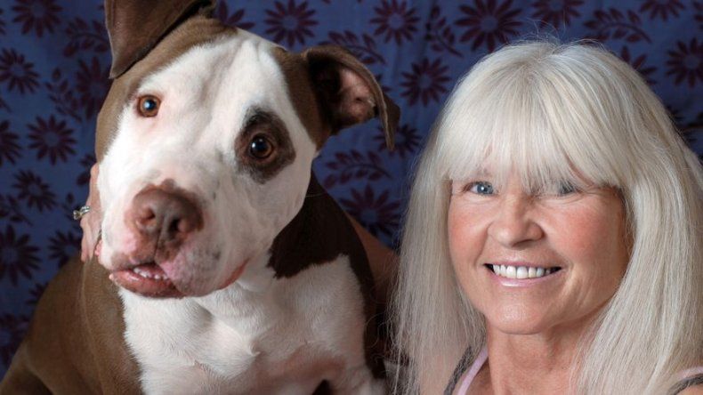 Celebridades ayudarán a dar en adopción perros