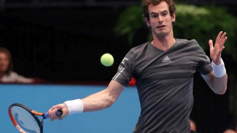 Murray avanza a la final en Viena