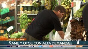 Producción del ñame sigue afectada