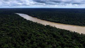 Brasil: El Valle del Javarí