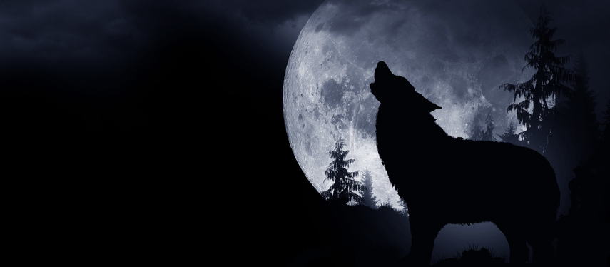 &nbsp;La Luna del Lobo: ¿Qué es y cuándo será?&nbsp;