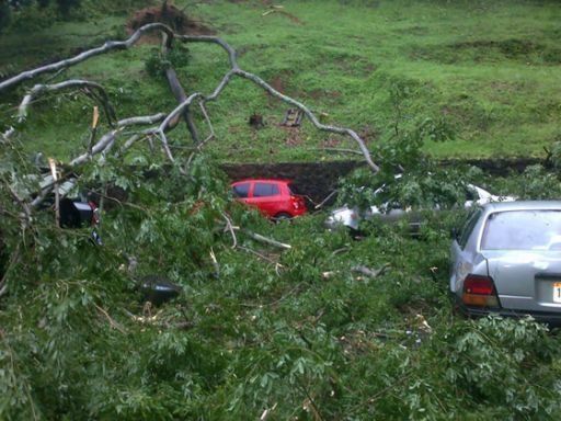 Afectaciones por fuerte lluvia y vientos en Panamá Centro y Este