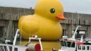China reanima el pato gigante de Hofman ante las quejas ciudadanas
