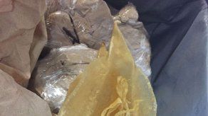 México confisca 26 kilos de buche de totoaba que serían enviadas a Shangai