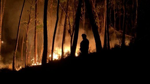 Portugal: Más de 2,000 bomberos se movilizaron en lucha contra tres incendios forestales