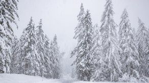 Los subprefectos son una autoridad administrativa que en Perú coordinan la seguridad interna.