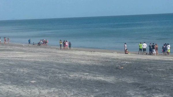 Ordenan desalojar playa Gorgona por casos de picadas de agentes marinos