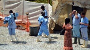 FAO advierte posible contagio de ébola por consumo de murciélago de fruta