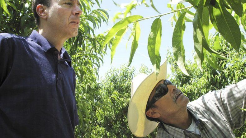 Ratifican en California ley de contratos laborales agrarios