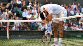 Fognini desmoronó a del Potro y se llevó el título de Los Cabos