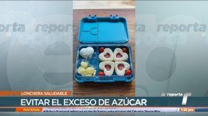 Elementos para preparar una lonchera escolar saludable