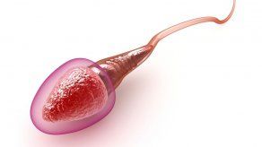 Virginia: Acuerdo judicial incluye vasectomía