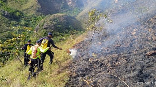 Incendio en Cerro Guacamaya: Continúan labores para extinguir el fuego