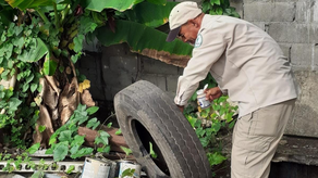 MINSA reporta disminución de casos de dengue