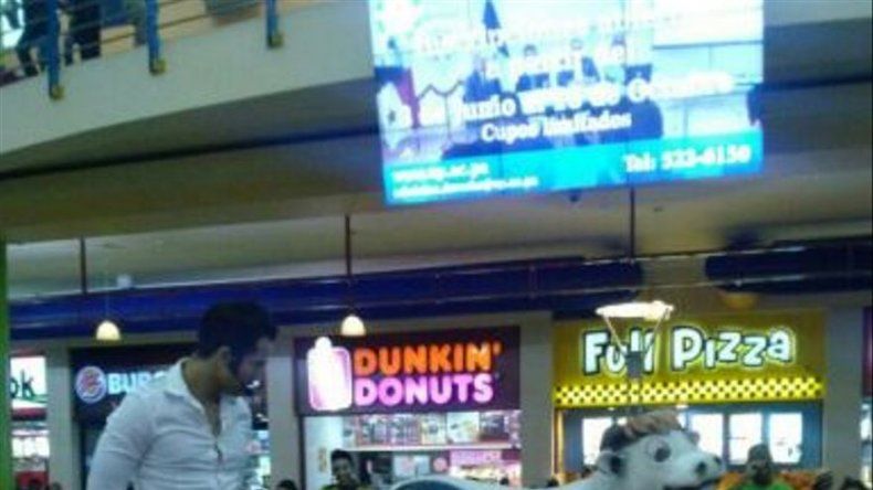 Los Pequeños Gigantes se tomaron Albrook Mall