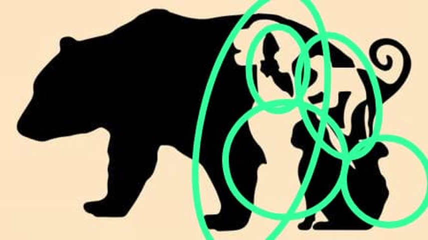 Respuesta del acertijo visual Respuesta del acertijo visual