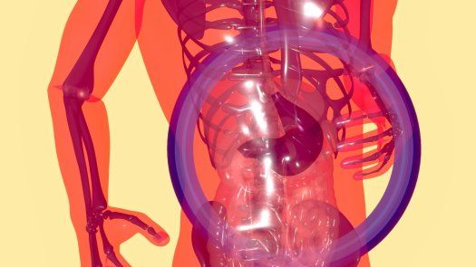 ¿Cómo prevenir los parásitos intestinales?