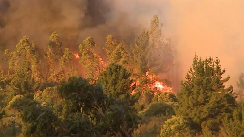 120 Viviendas quemadas, 19 heridos y 400 evacuados por incendio en Valparaíso