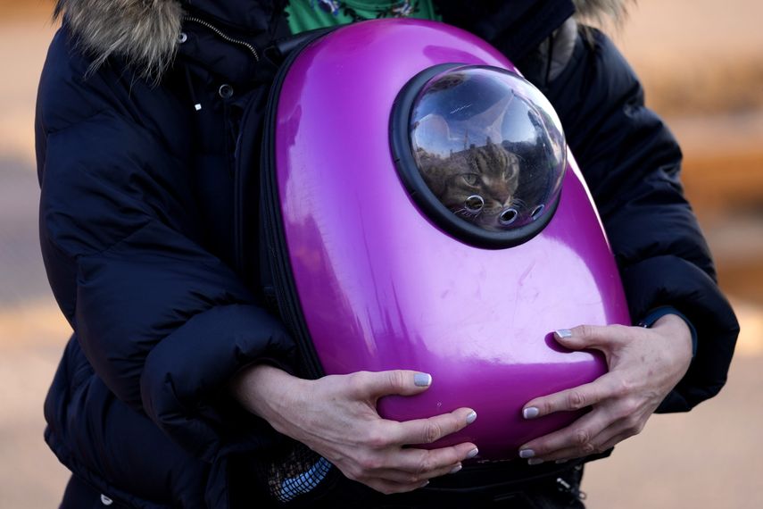 La ACNUR tuiteó el domingo: “Casi todos los refugiados se han ido a otros países de Europa