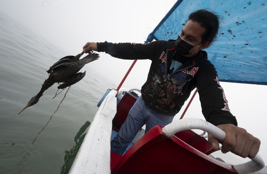 La empresa atribuyó el accidente al oleaje causado por la erupción volcánica en Tonga.