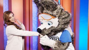 Un lobo con gafas