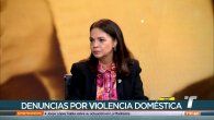 balance de delitos de violencia domestica y sexual en panama balance de delitos de violencia domestica y sexual en panama