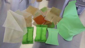 Empaques de cactus: una propuesta de México para el medio ambiente