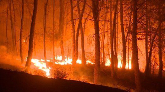 Francia recibe ayuda europea para enfrentar incendios que arrasan miles de hectáreas