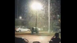 Millones de saltamontes invaden Las Vegas