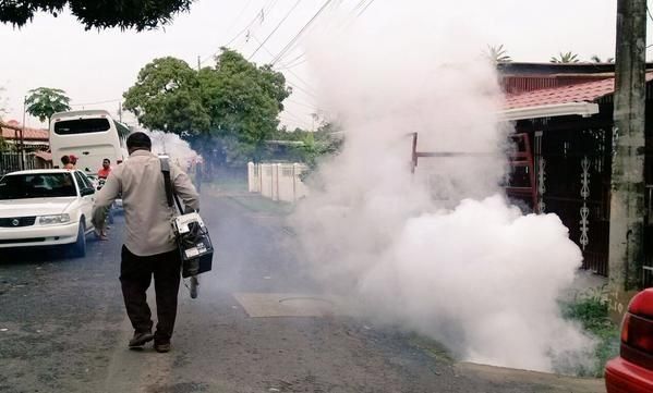 Minsa realizará operativo en Las Mañanitas por mosquito Aedes Aegypti