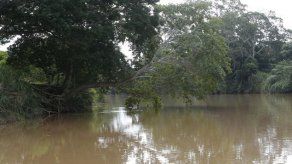 “No tenemos nada que ver con la contaminación del río La Villa”