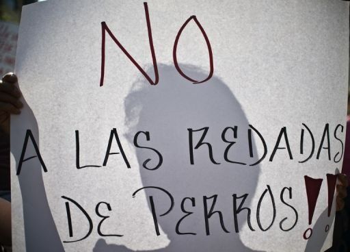 Caso de perros asesinos da desconfianza a mexicanos de autoridades