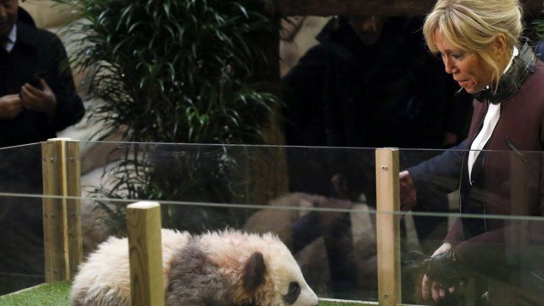 El primer bebé panda en Francia tiene nombre: Yuan Meng