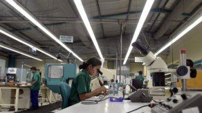 Los microbios comeplásticos ayudan a reducir los desechos en el mar (estudio)