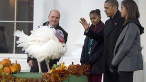 Obama indultó a un pavo por Acción de Gracias